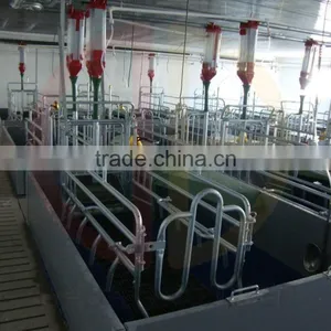 Pig Farrowing Crate Pig Equipment for Sale thumbnail-1