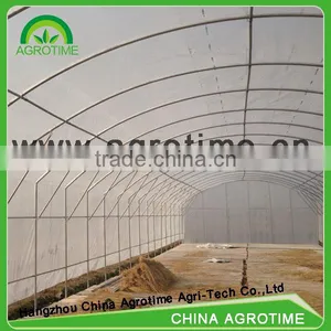 150 Micron Greenhouse Film for Agricultural thumbnail-3