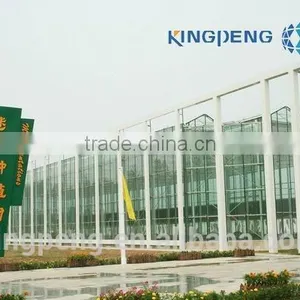 Large Size Multi Span Glass Greenhouse thumbnail-3