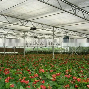 Vegetable Growing Greenhouse thumbnail-1