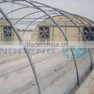 Single Span Film Tunnel Greenhouse thumbnail-2
