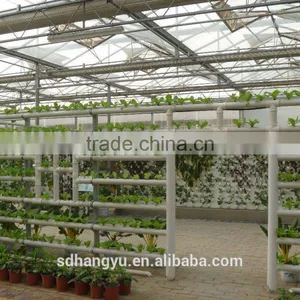 High Quality Mushroom Commercial Greenhouse thumbnail-1