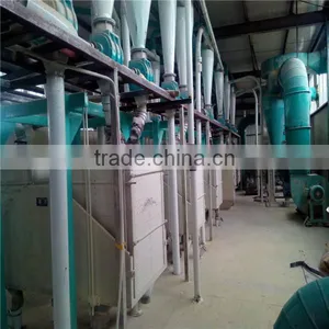 Full Automatic 150tpd Maize Mill Machine of Uganda for Maize Grits and Flour thumbnail-4