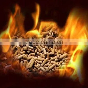 Cost-effective Powder Feed Machine Small Chicken Feed Pellet Machine thumbnail-6