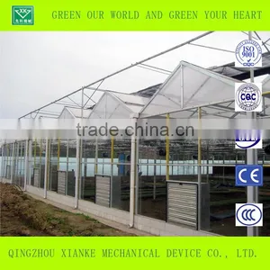 Galvanized Steel Frame 8mm/10mmSingle-span/multi-span Polycarbonate Greenhouse thumbnail-3