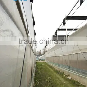 Tomato Hydroponic Greenhouse thumbnail-6