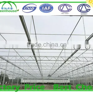 Horticultural Glass Greenhouses thumbnail-3