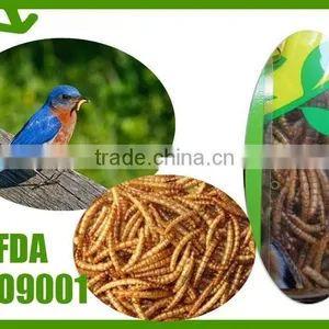Dry Bird Food Dried Mealworms thumbnail-1