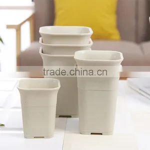 Plastic Tall Fleshiness Square Flower Pot thumbnail-6