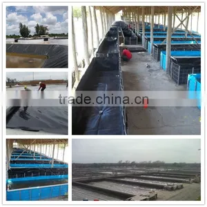 Fish Farm Pond Liner Leakproof Film Impermeable HDPE Geomembrane thumbnail-1