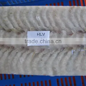 Shrimps HLSO thumbnail-1