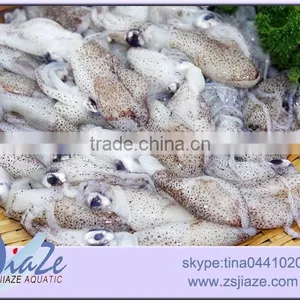 Frozen Baby Squid BQF OR IQF thumbnail-1