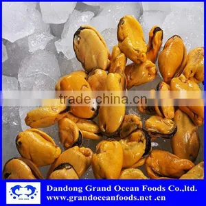 Fresh Frozen Cooked Mussel Meat Seafood thumbnail-2