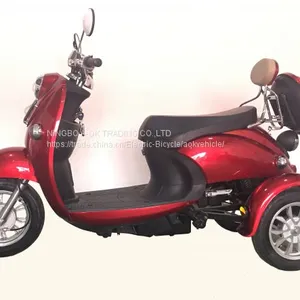 48V500W Electric Tricycle for Disabled People, 3 Wheel Electric Scooter Trike With Reverse Gear thumbnail-1