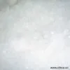Sell 90% Washed White Goose Down thumbnail-1