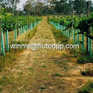 Customize Corflute Plant Guards thumbnail-1