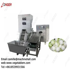 Onion Processing Machine Line|Onion Peeling and Root Cutting Plant|Onion Skin Remover Low Price thumbnail-1