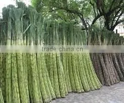 Pressed Unfermented Bagasse in Block thumbnail-4