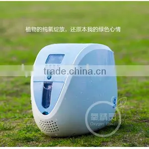 Battery Portable Oxygen Concentrator 1L 3L 5L Quality Choice thumbnail-5