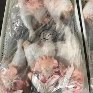 Fresh Frozen Bone Raw Chicken thumbnail-3