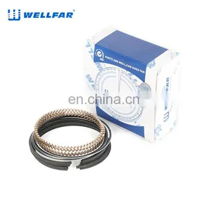 2M5014 Wellfar Pass 201 3.3L Engine Piston Rings 93mm For Chrysler Engine Parts thumbnail-5