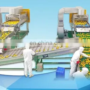 Automatic Industrial Complete Pineapple Juice Production Line thumbnail-3