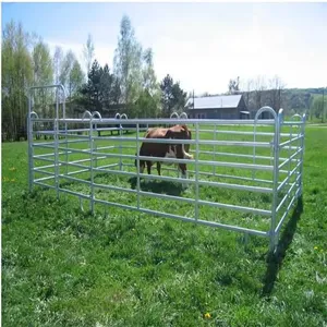 Ranch-Style Galvanized Cattle Panels Ideal for Rotational Grazing Systems thumbnail-1