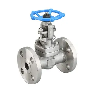 High Quality Factory Direct Sales Forged Steel Flange Gate Valve thumbnail-4