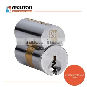 Re Keyable Removable Interchangeable Cylinder Core thumbnail-1