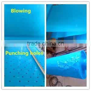 Blue Perforated Banana Pest Prevention Plastic Bags thumbnail-2
