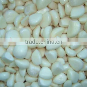 Frozen Garlic thumbnail-1