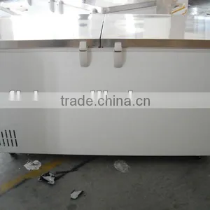 Stainless Steel Chest Freezer BDS-650 SS 304 Deep Freezer thumbnail-1