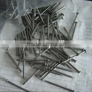 Common Round Iron Wire Nails Factory/Common Nails thumbnail-4
