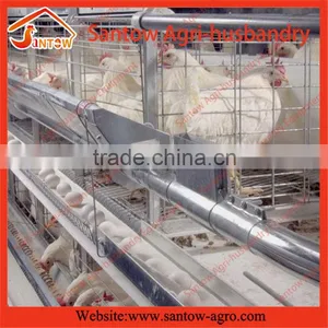 Stable Steel Structure Professional Chicken Egg Layer Cage Chicken Poultry Equipment thumbnail-5