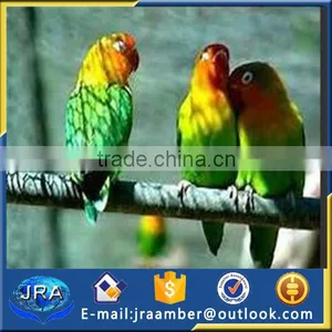 Zoo Bird Cages Stainless Steel Aviary Mesh/netting thumbnail-3