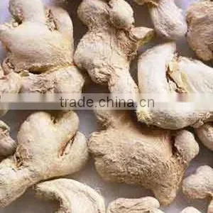 Dried Ginger thumbnail-1