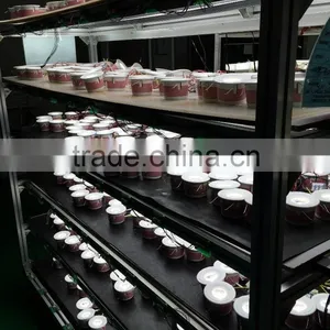 TIWIN 3W Warm White SLCF Spotlight thumbnail-6
