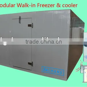 Customized Storage PU Meat Freezer Cold Room thumbnail-1