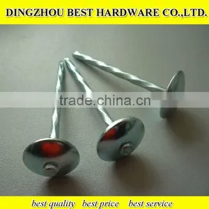 Galvanized Umbrella Head Twisted Roofing Nail thumbnail-1