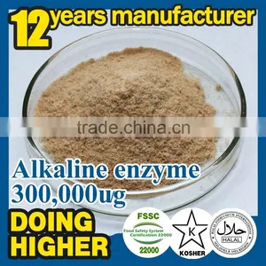 Alcalase Enzyme Apply to Protein Hydrolyzed thumbnail-1