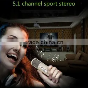 Global Karaoke Speaker Bluetooth Wireless Microphone for Android, Ios Phone, Ect With Built-in Polymer Battery thumbnail-5