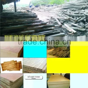 Plywood Viet Nam by Hongthaigoup thumbnail-2