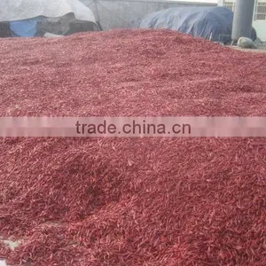 Red Dried Chilli thumbnail-1