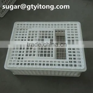 Agricultural Plastic Crates for Chicken Transportation thumbnail-1