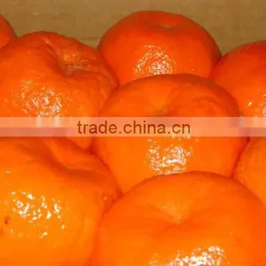 Fresh Mandarin thumbnail-2