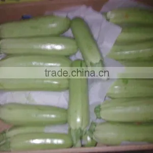 Zucchini thumbnail-5
