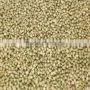 High Quality Raw Buckwheat Kernel thumbnail-1