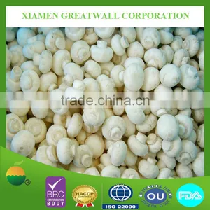 Fujian Origin Frozen Champignon White Mushroom From China thumbnail-1