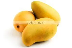 MANGO thumbnail-1