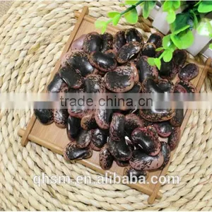 Black Kidney Beans ,beans China thumbnail-1